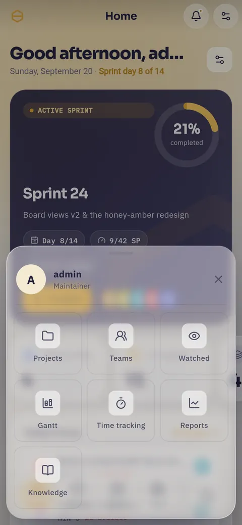 The More sheet open over the dashboard on a phone