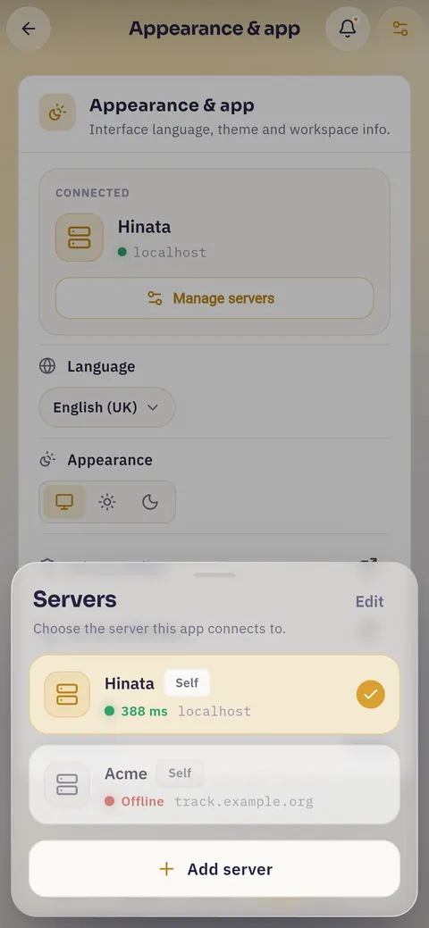 The server manager sheet on a phone with two saved servers