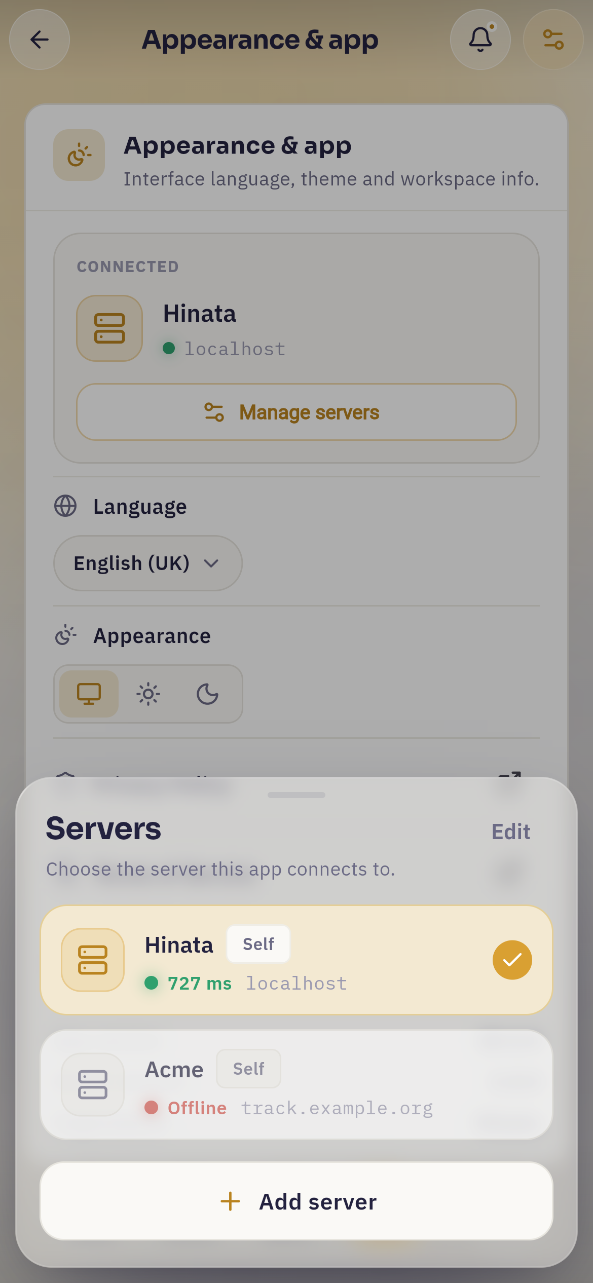 The server manager sheet on a phone with two saved servers