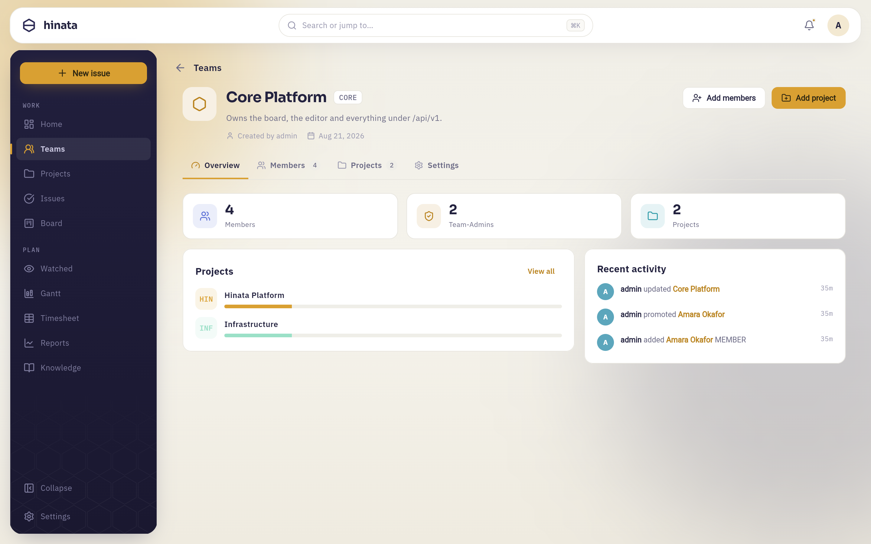A team's overview